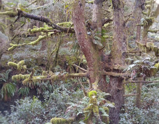 20160108_090651 (2).jpg