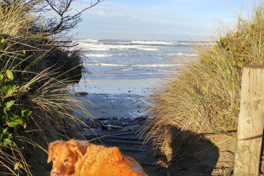 20160108_091811_HDR (2).jpg