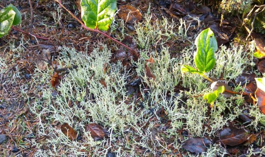 20160108_092316 (3).jpg