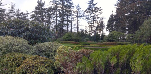 20160113_142623_HDR (2)