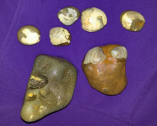 20160120_070108 (2).jpg