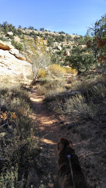 20161016_132441 (2).jpg