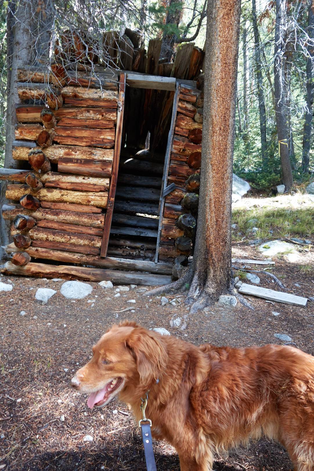 2018-09-25 12.14.24.jpg