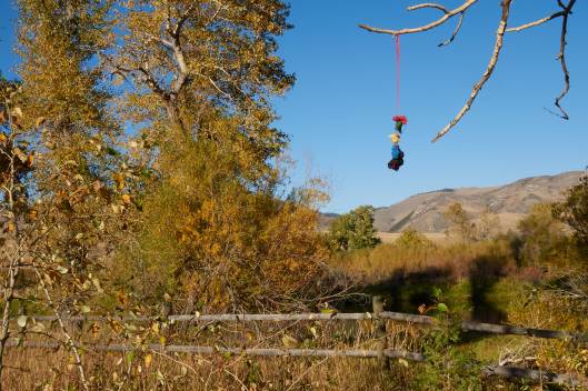 2018-09-25 17.11.29_1.jpg