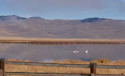 2018-10-01 10.05.09.jpg