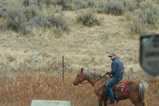 2018-10-02 11.26.01.jpg