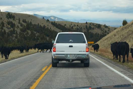 2018-10-02 11.28.57.jpg