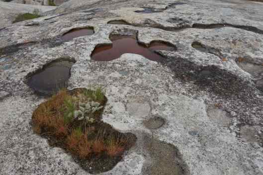 2019-05-21 15.03.11_1.jpg