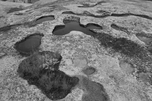 2019-05-21 15.03.11_2.jpg