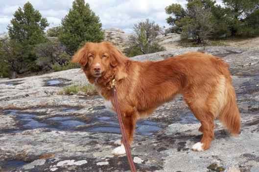 2019-05-21 15.29.01.jpg