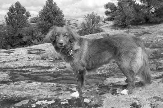 2019-05-21 15.29.01_1