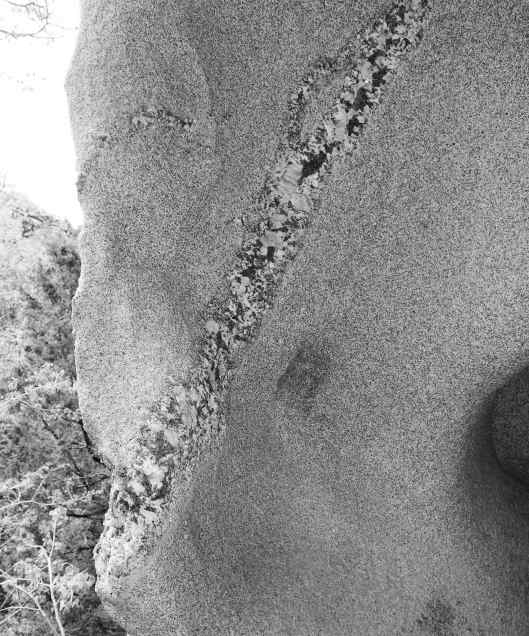 2019-05-21 15.38.15_1.jpg