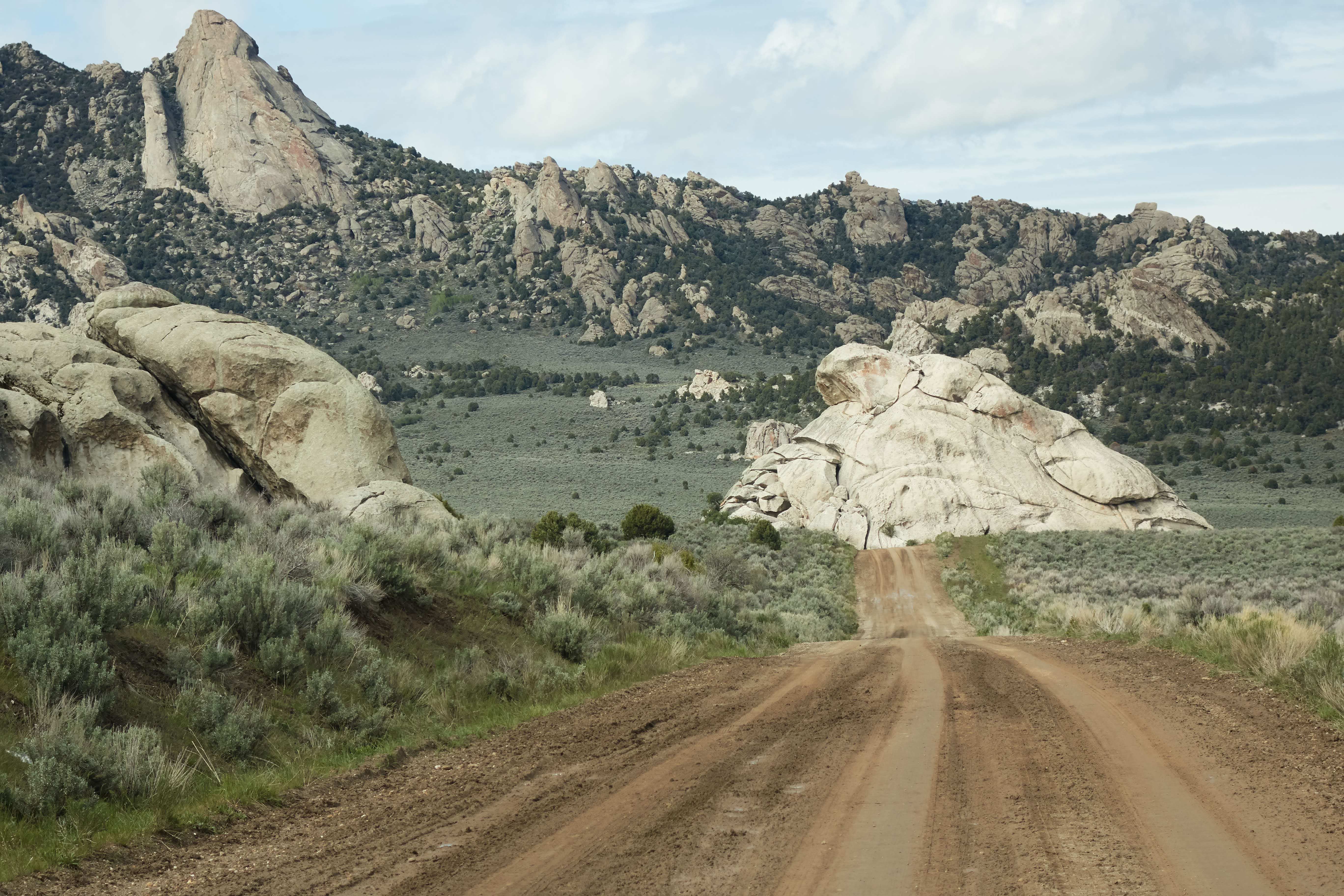 2019-05-21 15.59.13_1