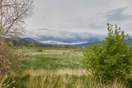 2019-05-23 14.54.21_1