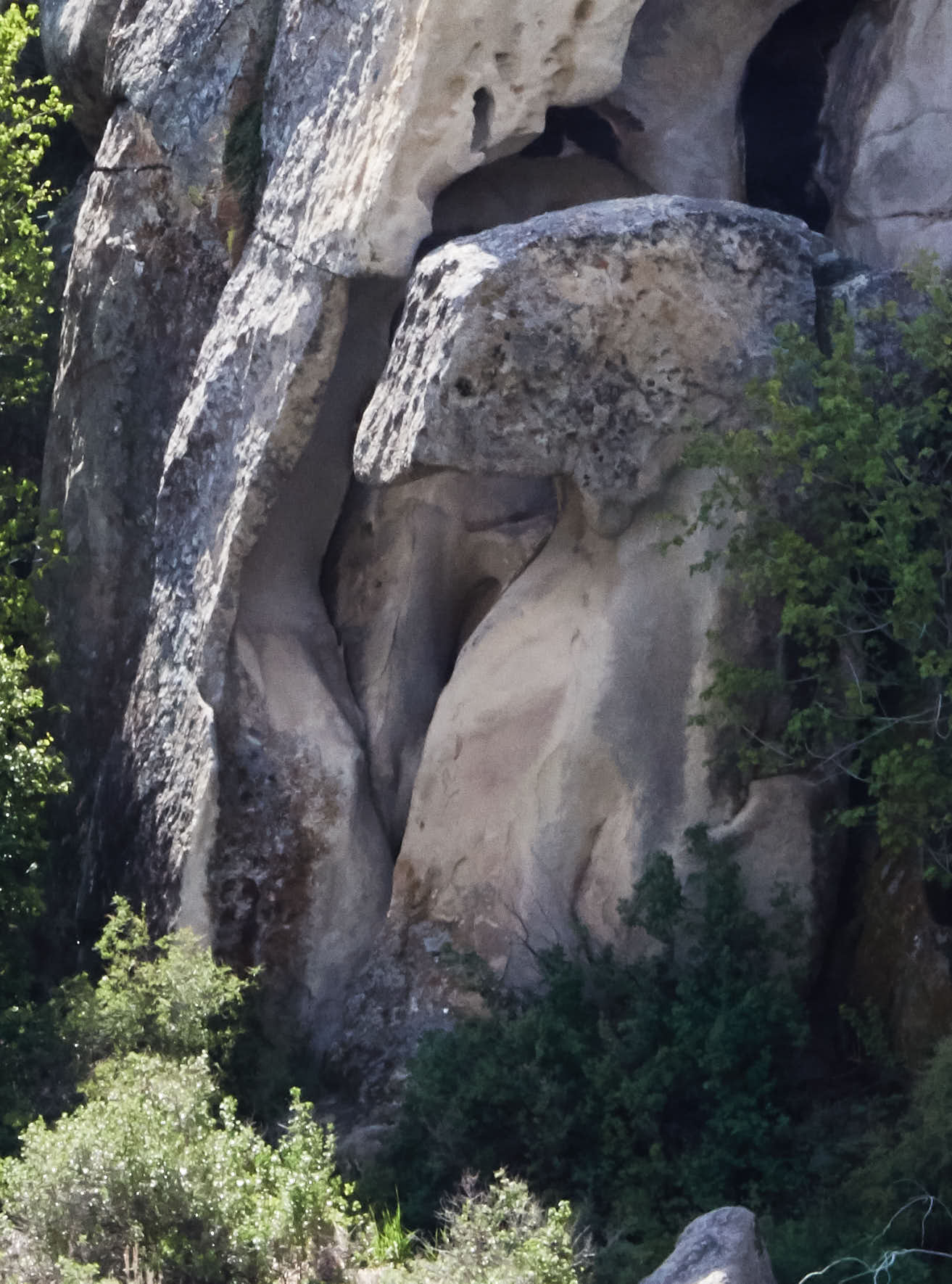 2019-05-29 10.06.05_1