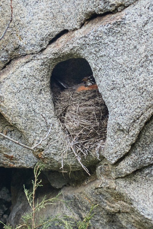 2019-05-31 10.32.36_1