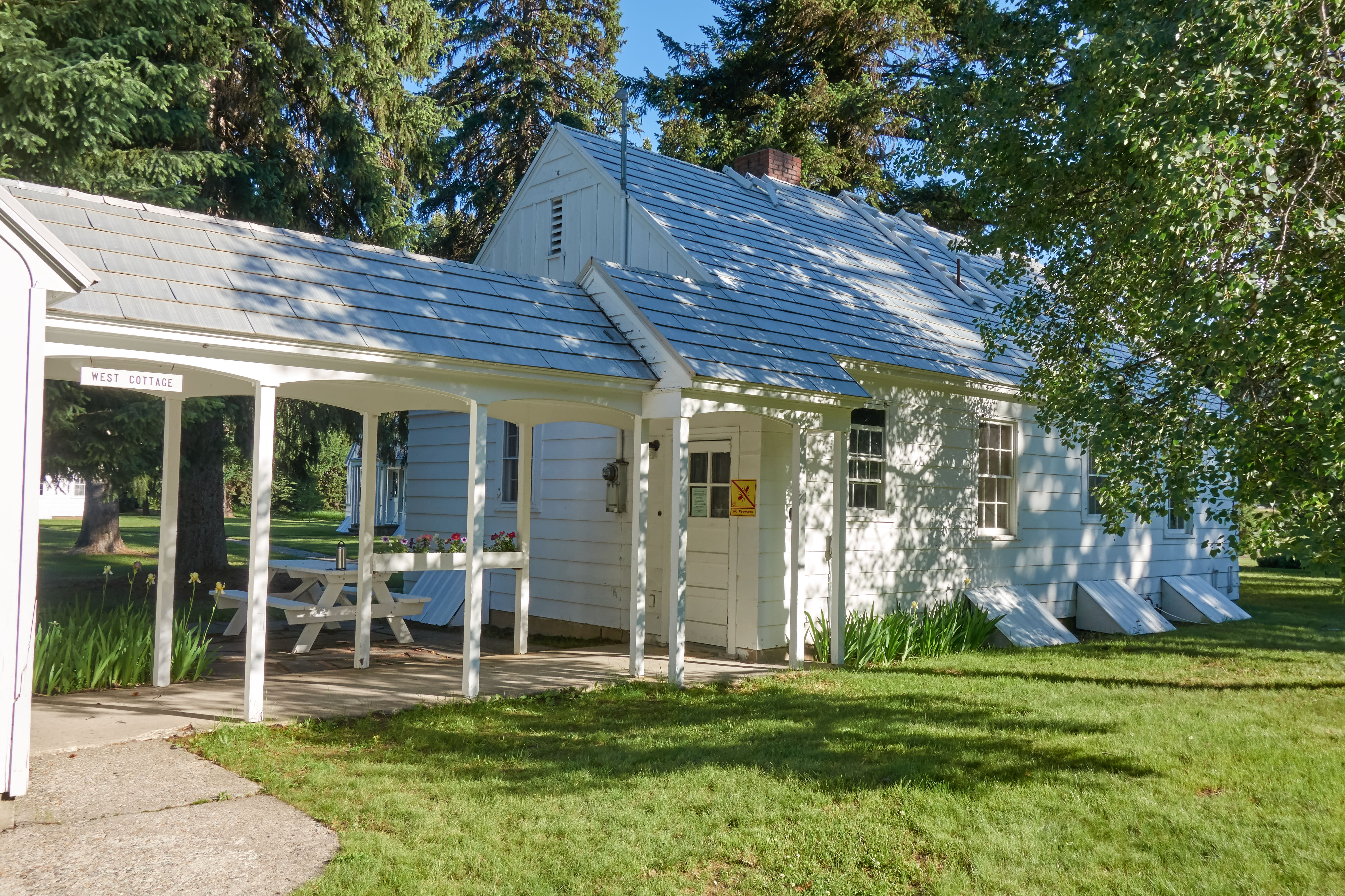 2019-06-29 18.05.19 cow6.jpg