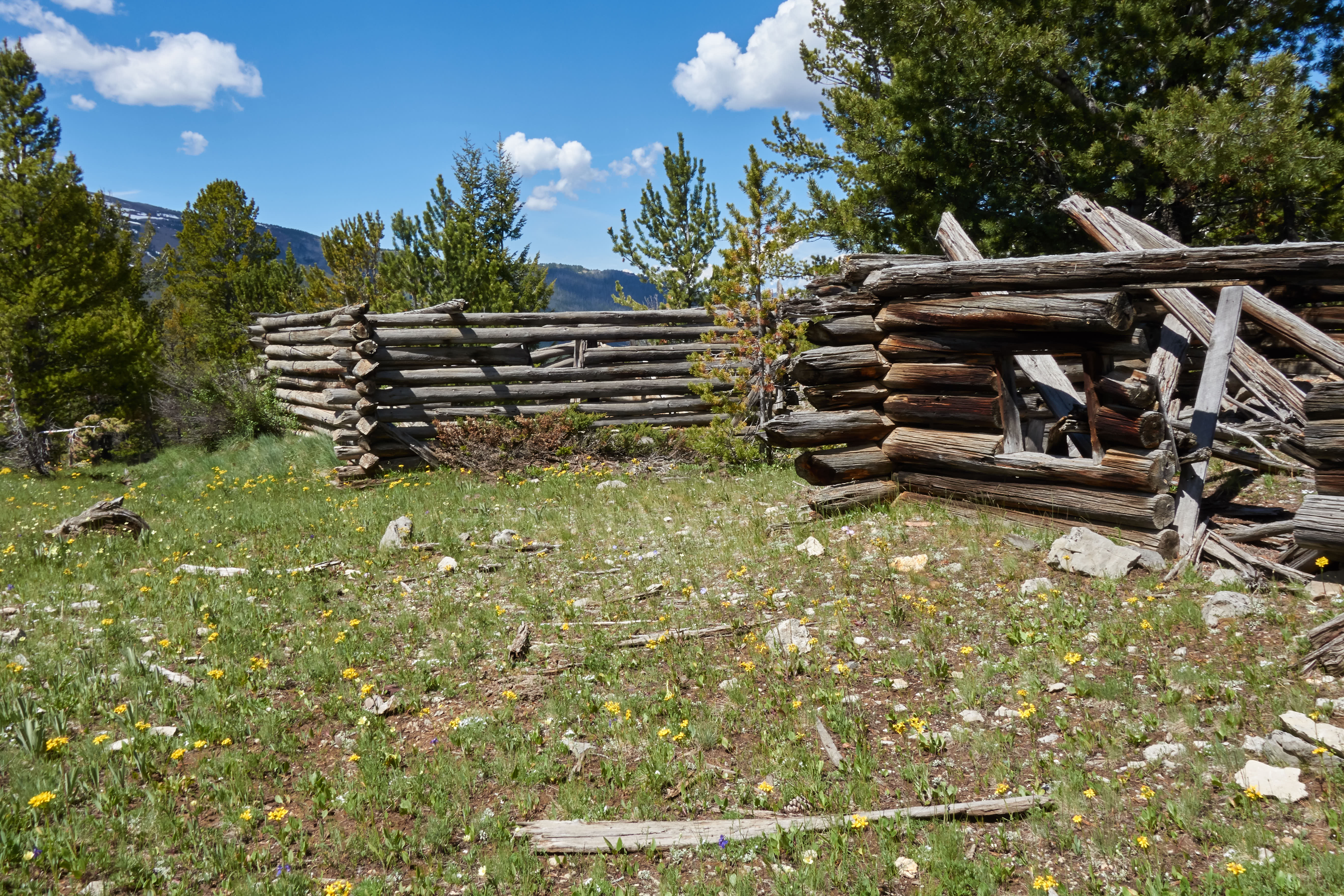 2019-07-01 11.04.24 .jpg