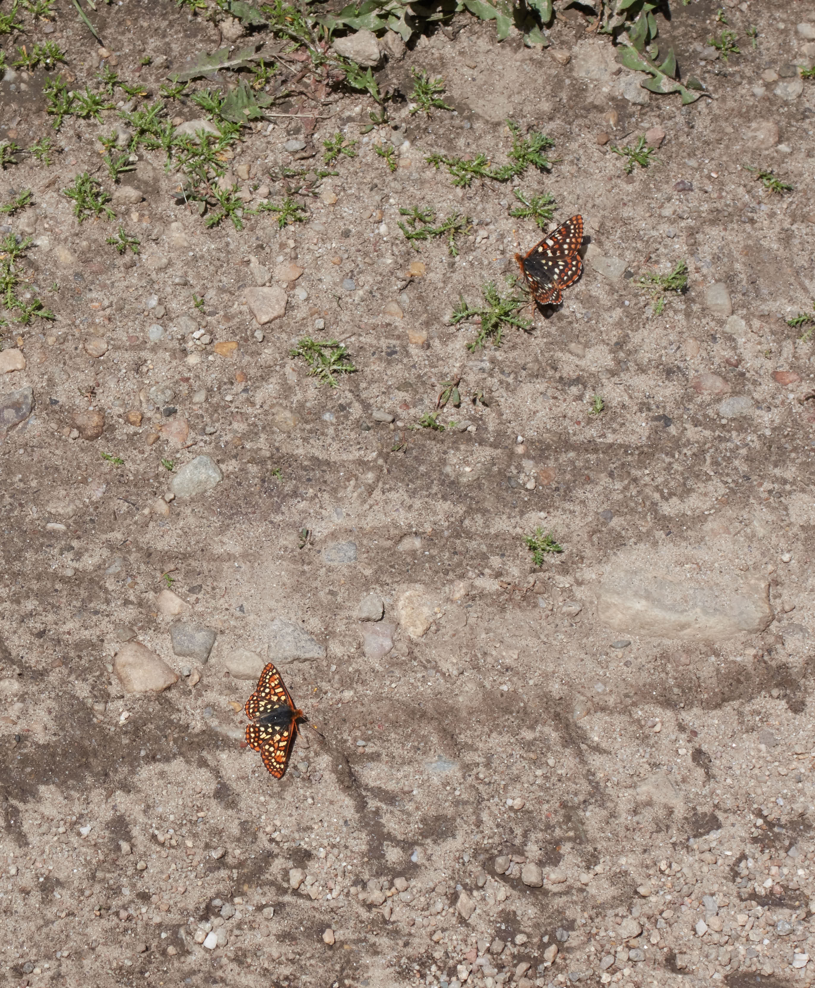 2019-07-01 12.46.00 _1.jpg