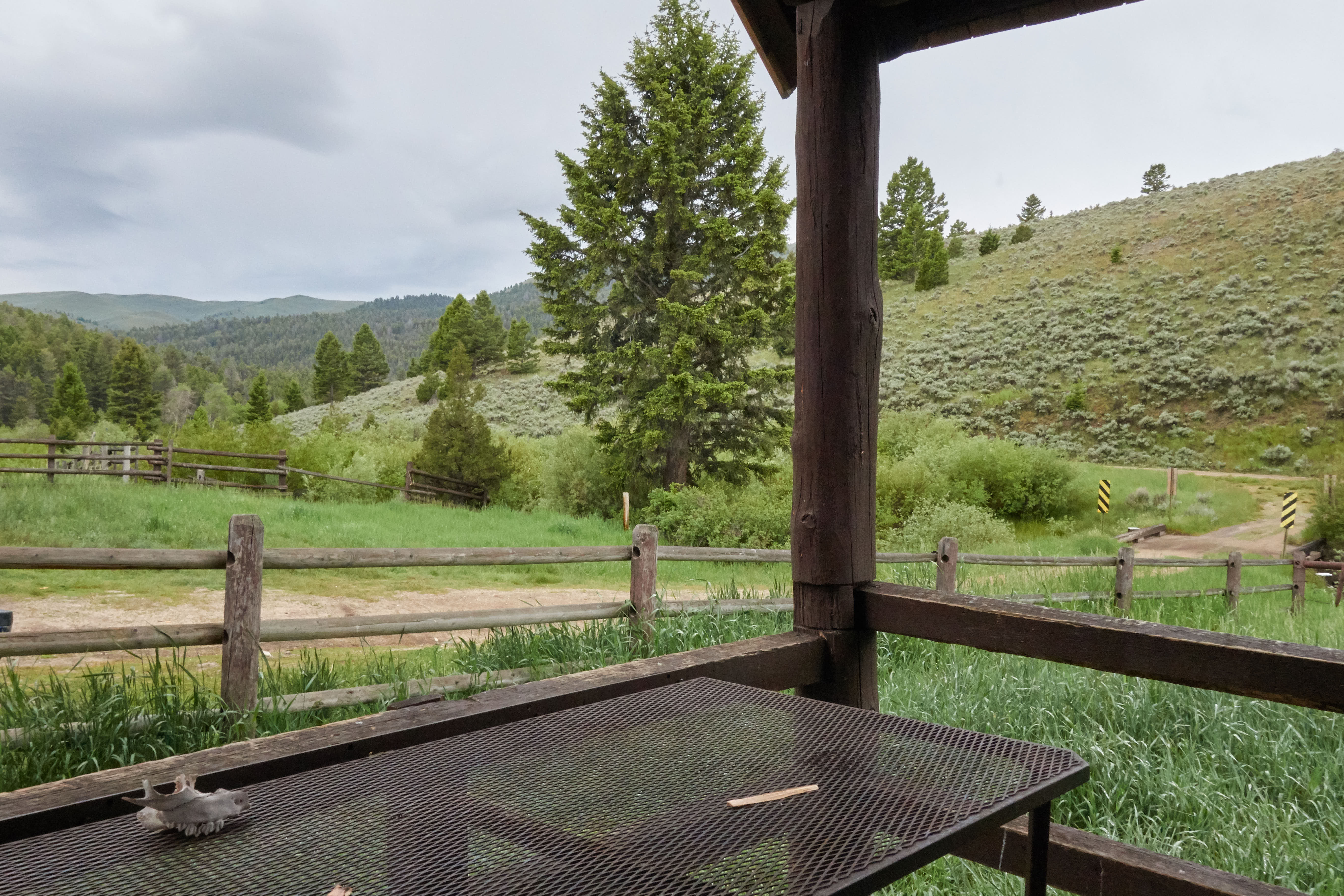 2019-07-03 07.05.17 .jpg