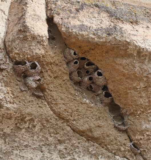 2019-09-19 15.08.18 1