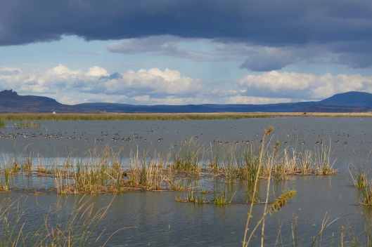 2019-09-19 16.36.54.jpg