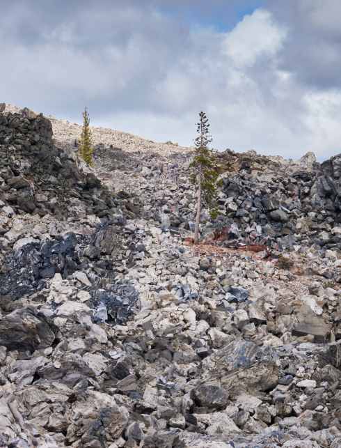 2019-09-20 14.08.02 1.jpg