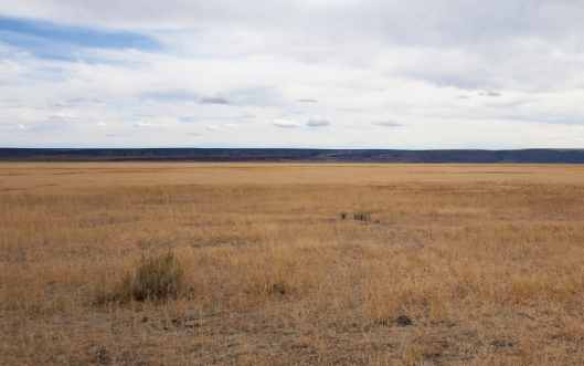 2019-09-22 12.38.40 1.jpg