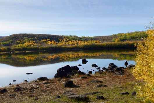 2019-09-26 08.53.09.jpg