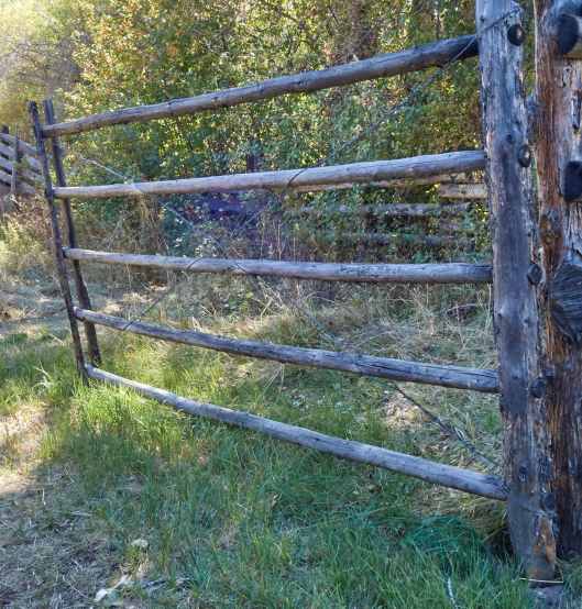 2019-09-27 11.56.28.jpg