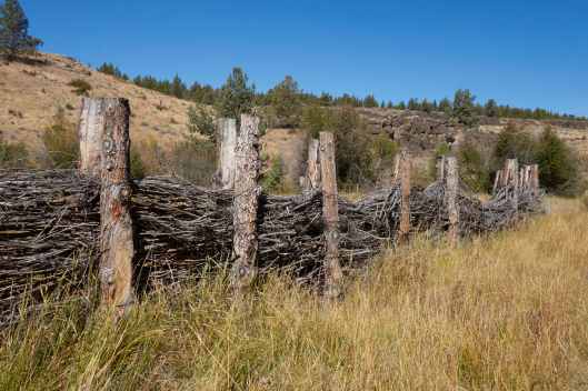 2019-09-27 12.17.12.jpg