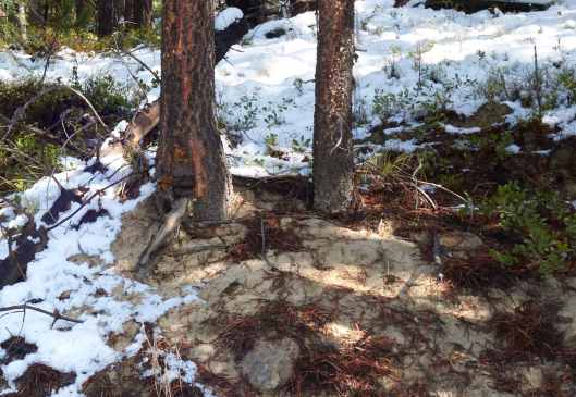 2019-10-02 11.52.37.jpg