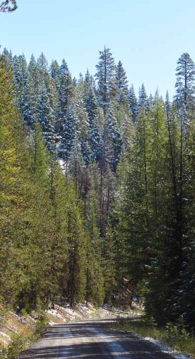 2019-10-02 11.56.48 1.jpg