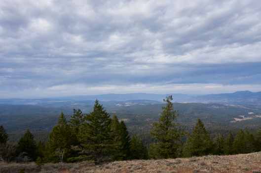 2019-10-16 13.34.25.jpg