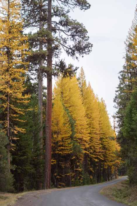 2019-10-16 15.22.08.jpg