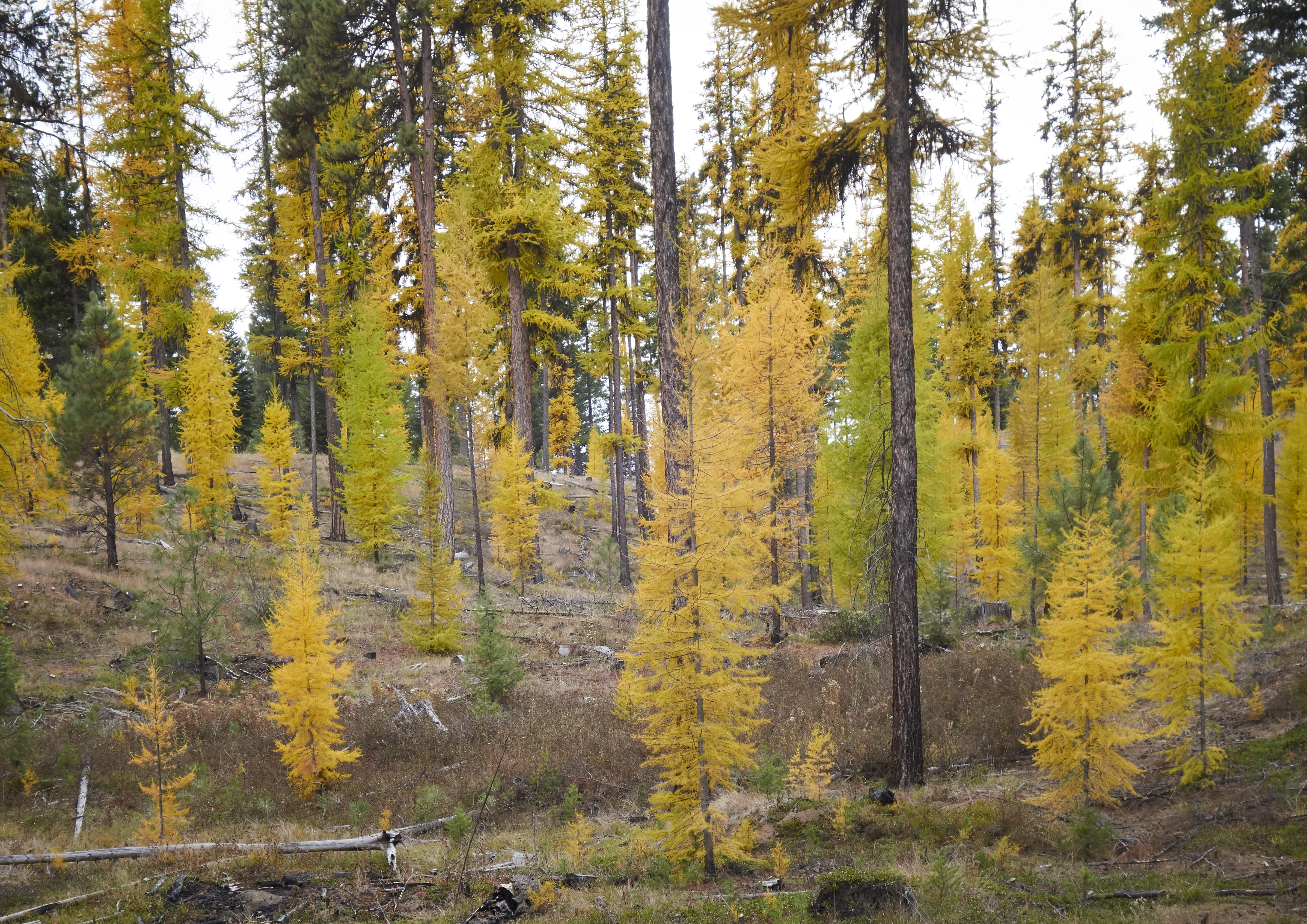 2019-10-16 15.25.11 2.jpg